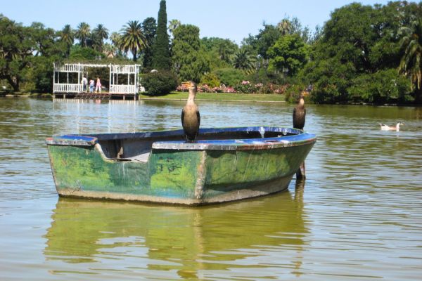 A rowing boat on the lake in Bosques de Palermo in Buenos Aires.