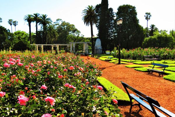 Jardín Rosedal in Buenos Aires, featuring colorful roses and greenery.