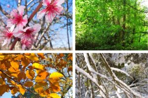 Weather in Buenos Aires: Year-Round Argentina Climate Guide