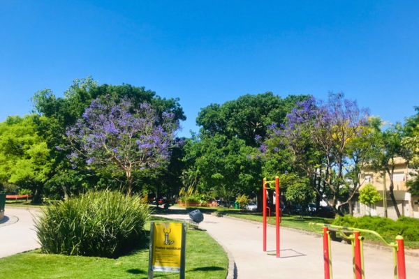 A typical local park in Buenos Aires during springtime, featuring lush greenery and outdoor exercise equipment, with people enjoying the open air.