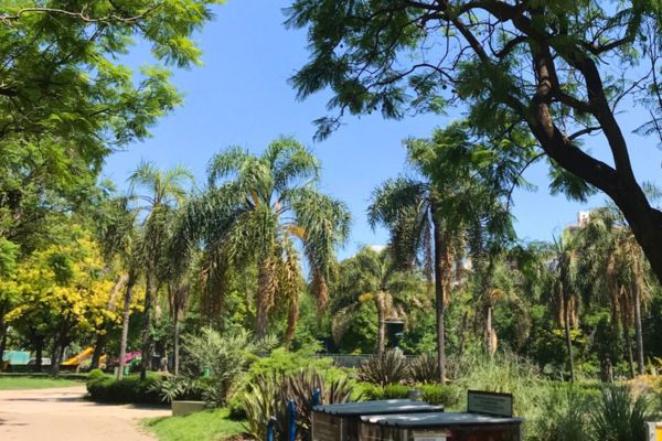 Plaza Irlanda in Buenos Aires during summer, showcasing vibrant greenery.