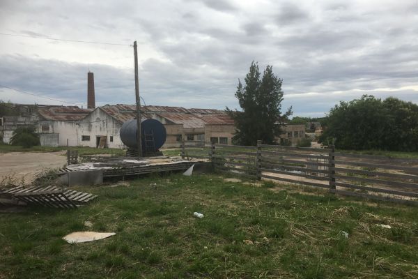 The abandoned Liebig factory with old cattle fences still standing, set against a backdrop of overgrown grass.