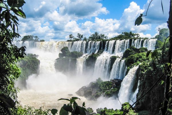 view of Iguazu Falls surrounded by lush rainforest.