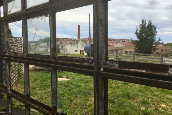 View through broken windows of a crumbling, abandoned corned beef factory in Liebig, Argentina, revealing decaying industrial structures and overgrown vegetation.